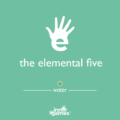 The Elemental Five Boekje 03
